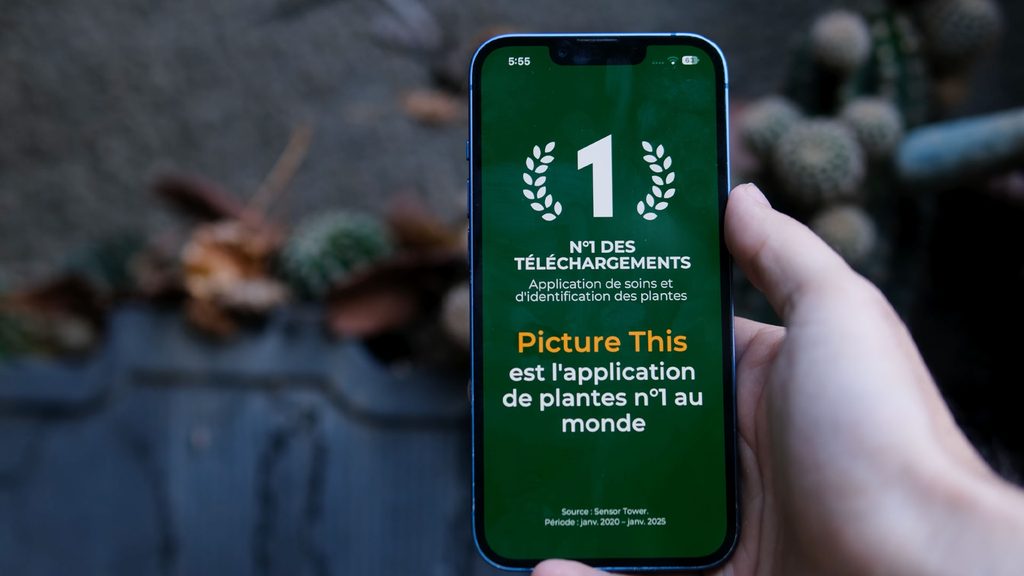 picture This App